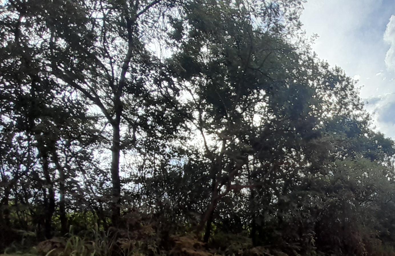 Terreno, 13 hectares - Foto 1