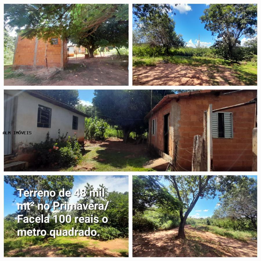 Terreno, 13 hectares - Foto 7