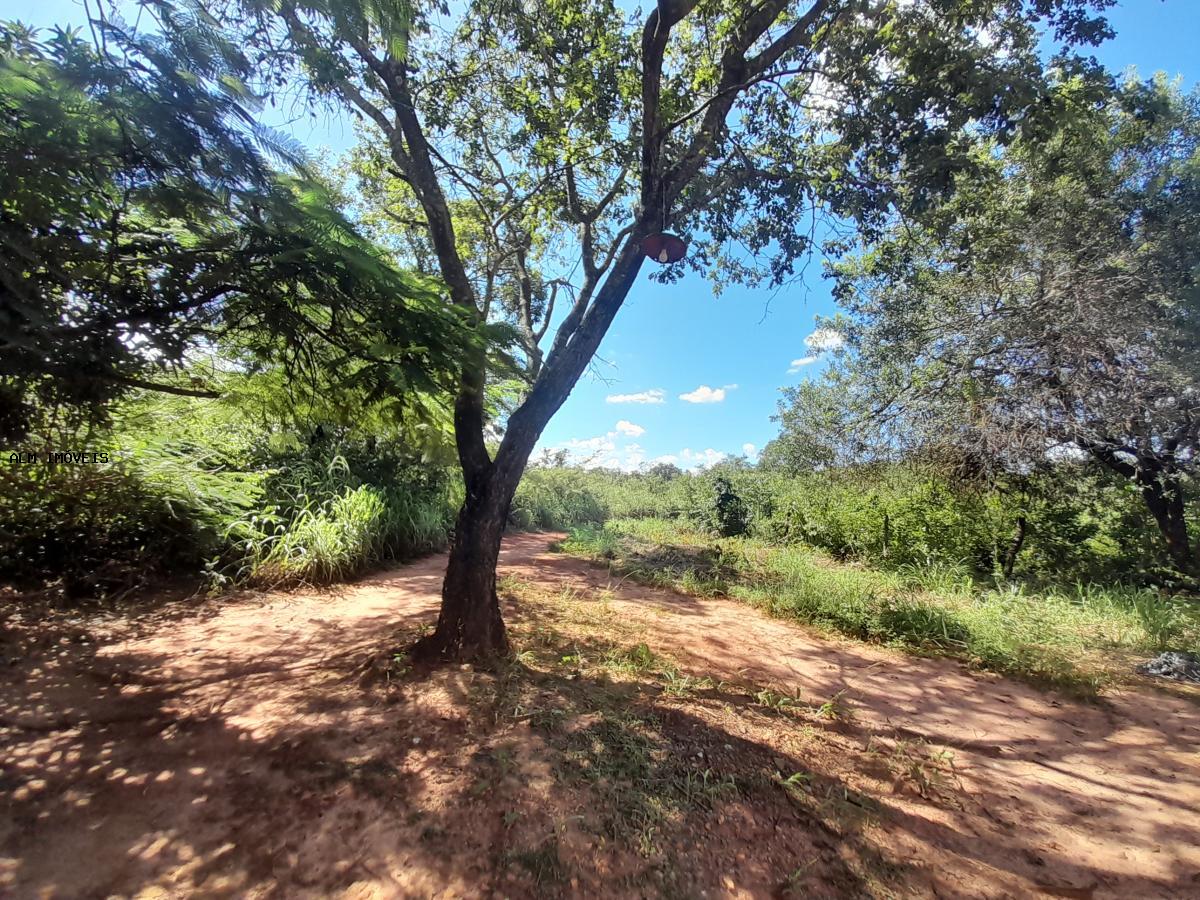 Terreno, 13 hectares - Foto 11