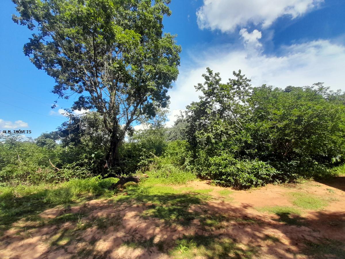 Terreno, 13 hectares - Foto 12