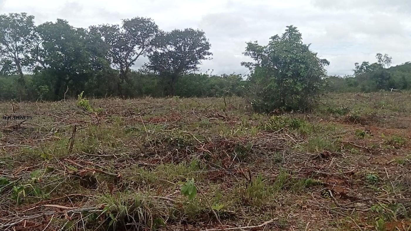 Chácara, 3 hectares - Foto 8