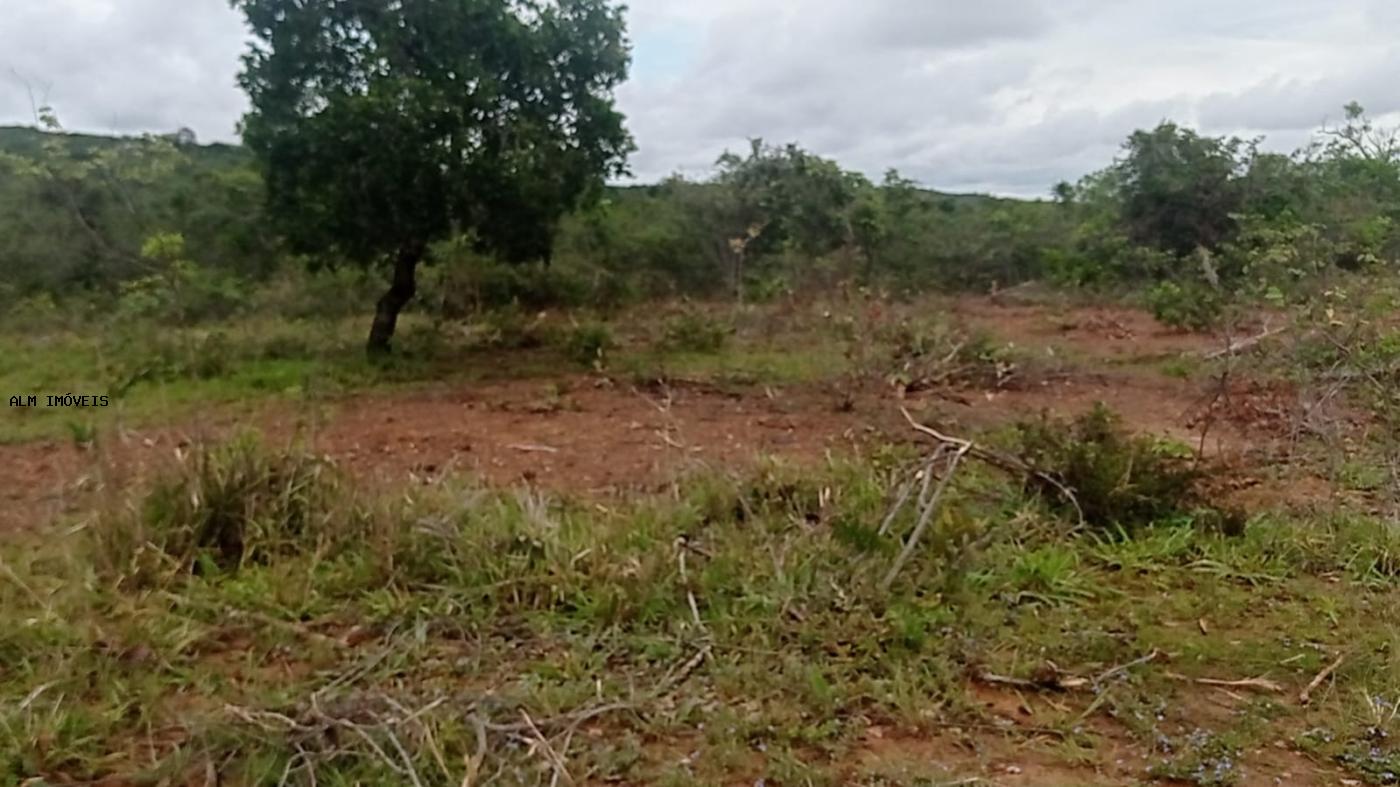 Chácara, 3 hectares - Foto 12