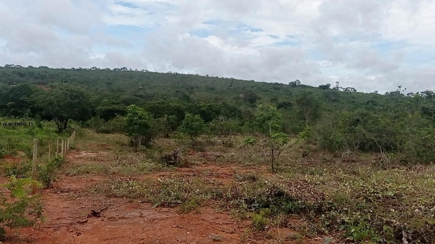 Chácara, 3 hectares - Foto 13