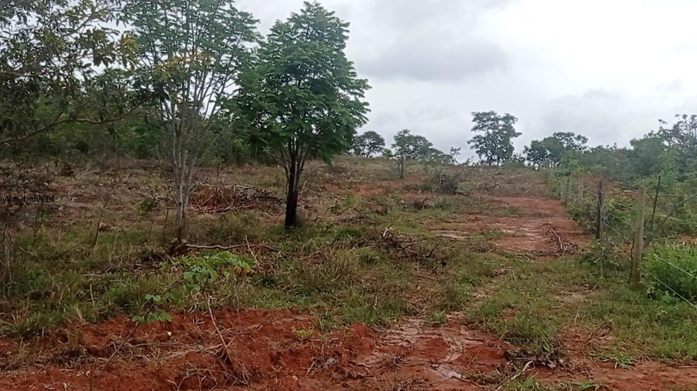 Chácara, 3 hectares - Foto 18