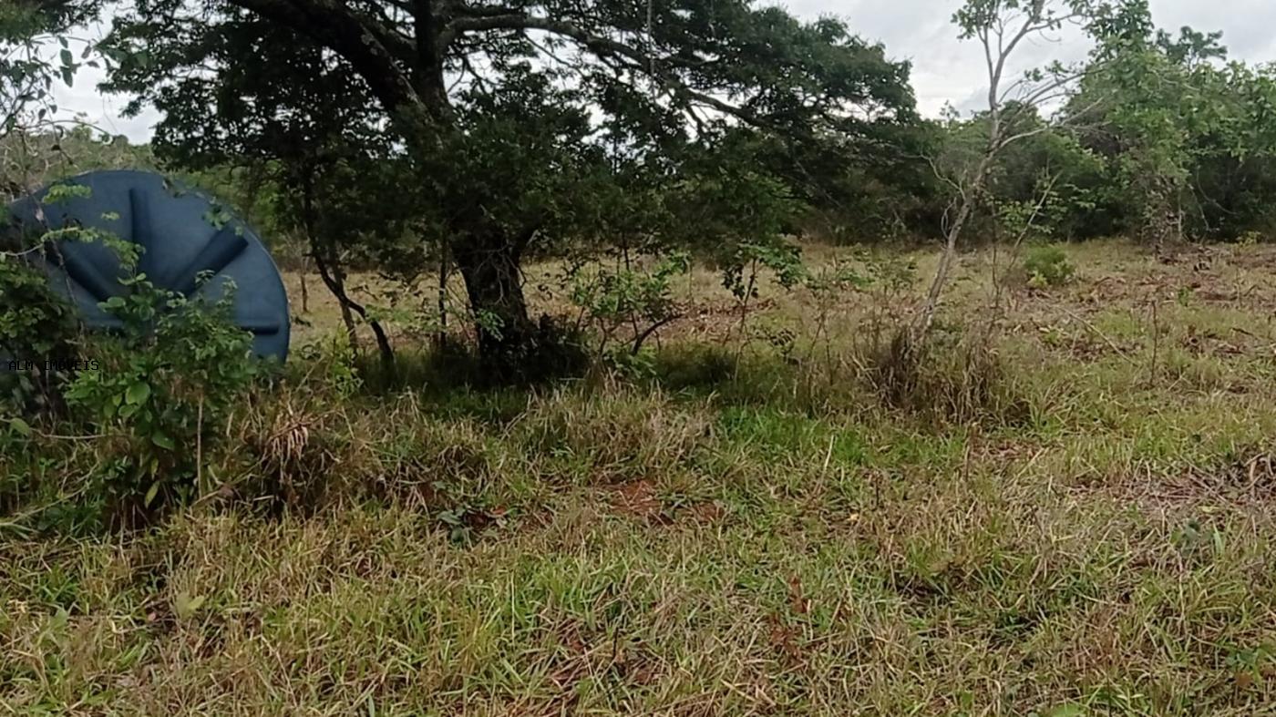 Chácara, 3 hectares - Foto 20