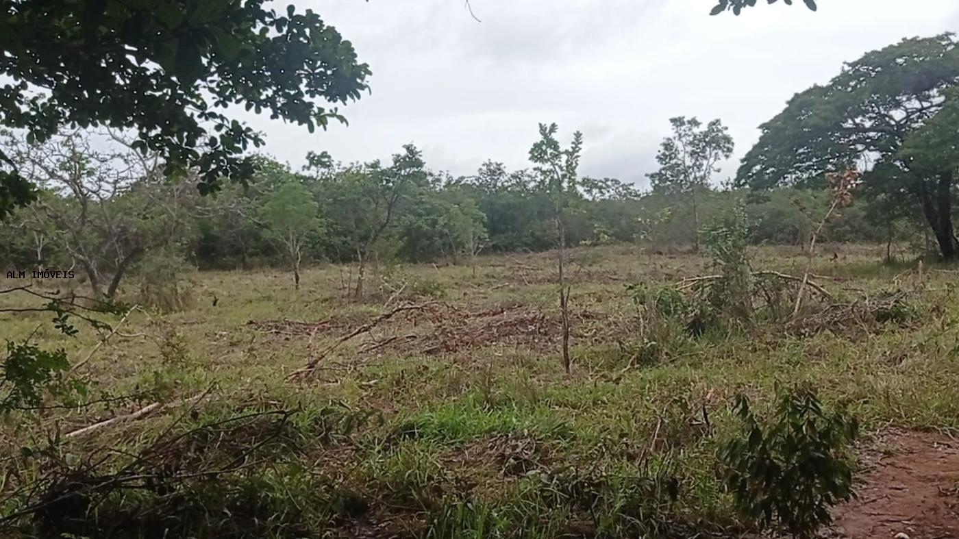 Chácara, 3 hectares - Foto 23