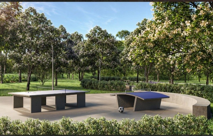 Terreno, 200 m² - Foto 8