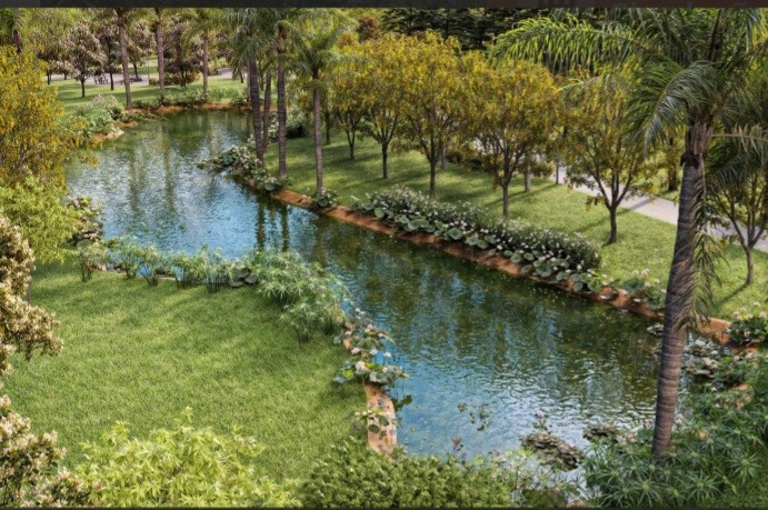 Terreno, 200 m² - Foto 9